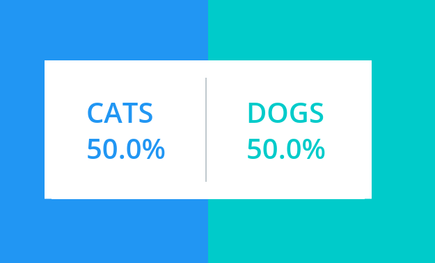 cat-vs-dog results