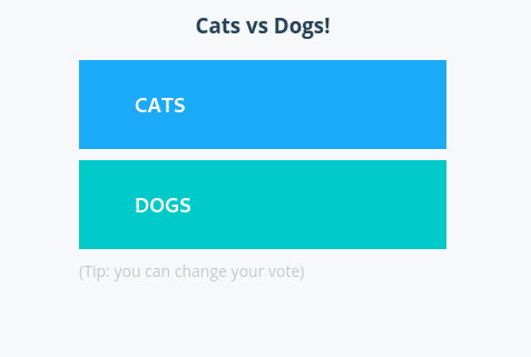 cat vs dog